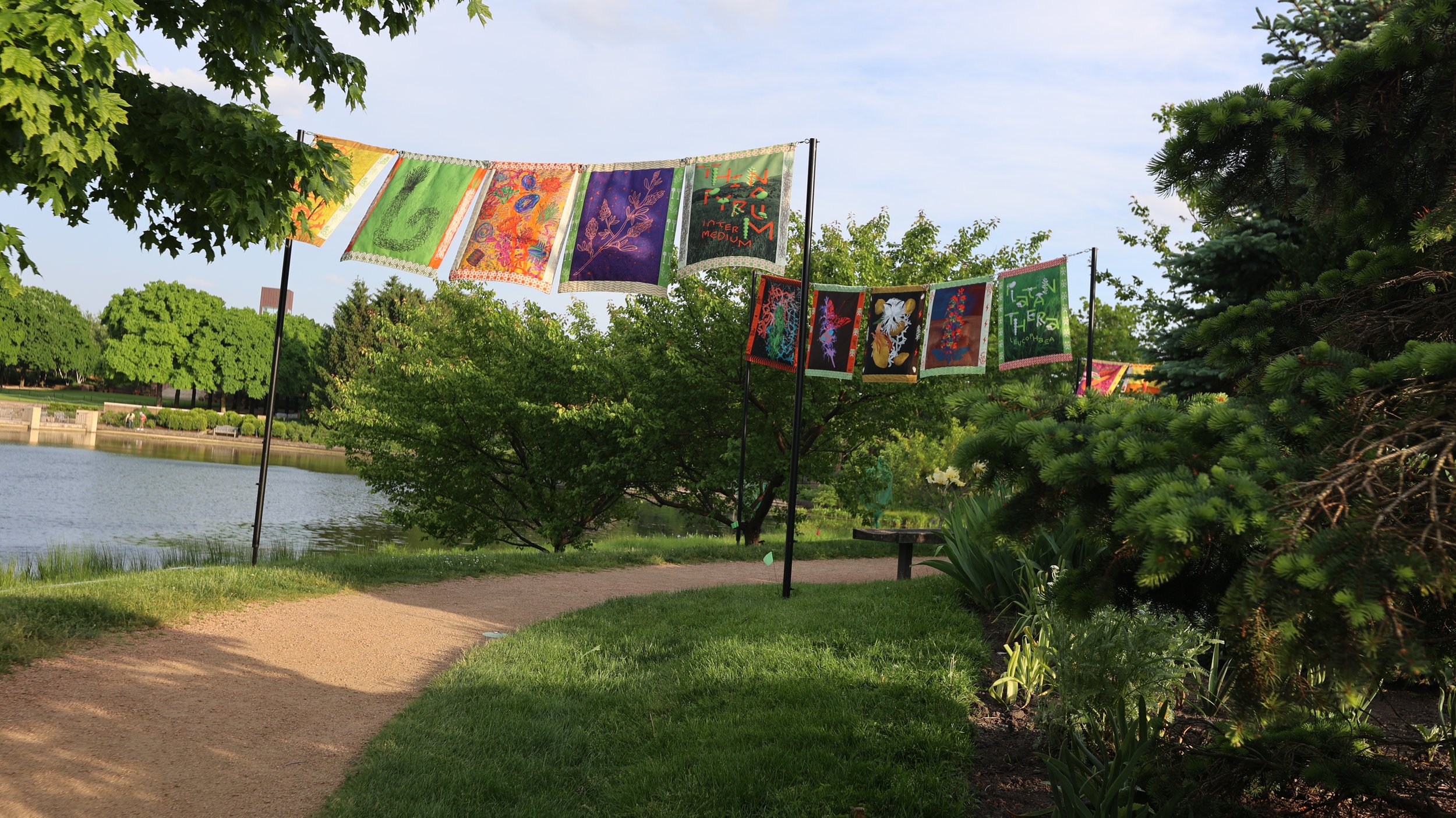 Rhizomatic Activation - Austin Central Library